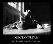 Ingyen lomtalanítás