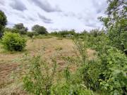 Eladó Lakóövezeti telek, Mohács,  Nincs megadva, 4470nm