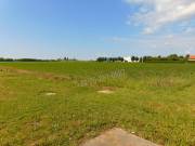 Eladó Termőföld, Szántó, Mohács,  Nincs megadva, Pécsi út, 10000nm