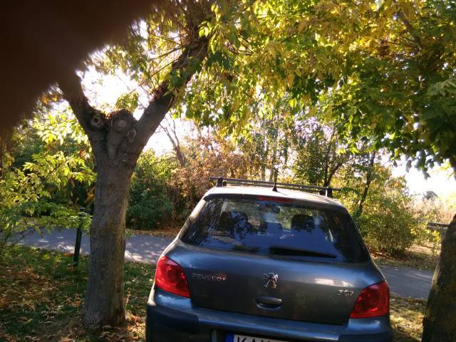 Peugeot 307-es acelszurke - Kép