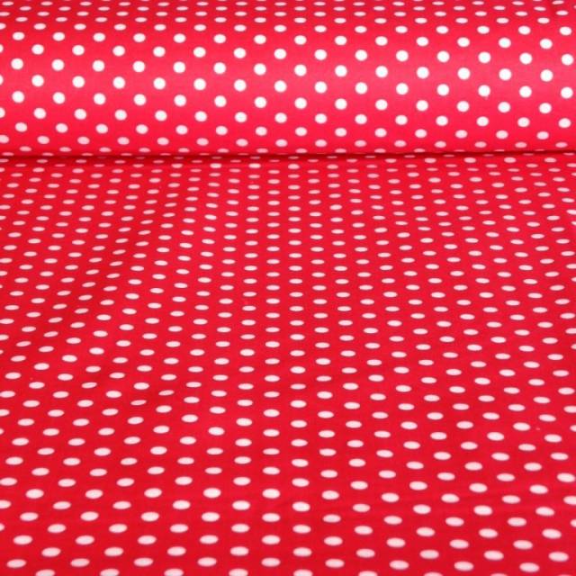 Piros pöttyös pamutvászon - Canvas - Kép