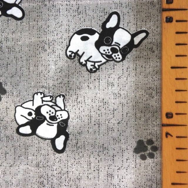 BULLY, francia bulldogos, lakástextil dekorvászon, szürke - Canvas - Kép