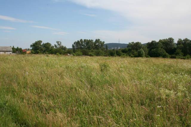 Sopron Nyugatmajorban 1500 nm-es kert/szántó eladó. - Kép