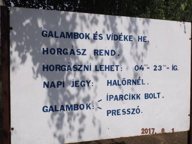 GALAMBOKI HORGÁSZTÓNÁL KIS HÁZ GYÖNYÖRŰ KILÁTÁSSAL A TÓRA ELADÓ! - Galambok  - Kép