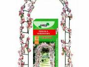 Rózsakapu pergola | 240×140×38cm
