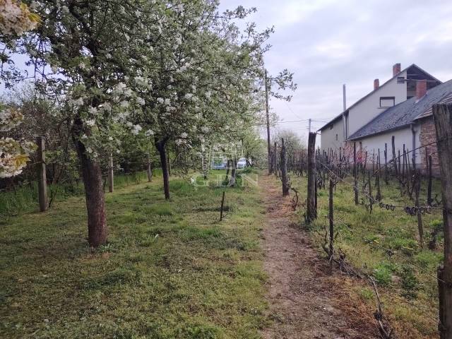 Eladó - Telek - Vasvár hegy - Kép