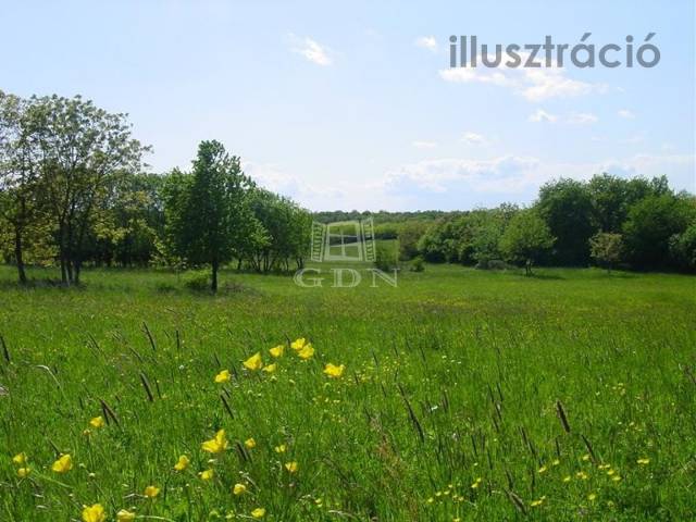 Eladó - Telek - központban - Kép