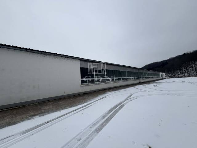 Kiadó - Raktár - Fő utca - Kép