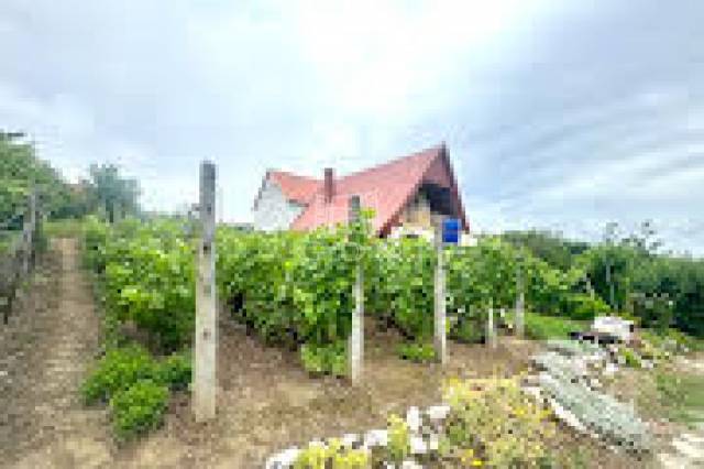 Eladó - Nyaraló - Szőlőhegy - Kép