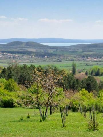 Panorámás pécselyi nyaraló! - Kép