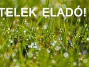 Zalacsányban szántó eladó!