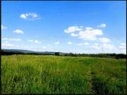 Vác Felső török hegyen 48.114 m2-es mezőgazdasági terület eladó!