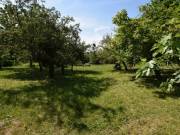 Kőszegen, a Királyvölgyben 3117 m²-es telek eladó – kiváló lehetőség!