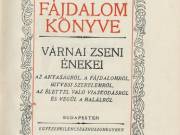 Várnai Zseni: A fájdalom könyve