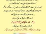 Adó 1% felajánlás 