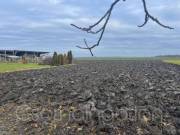 Szil - 2752 m2-es telken ház eladó