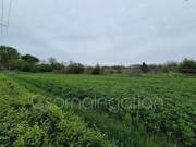 Mihályi - természetközeli, 900 m2-es telek eladó