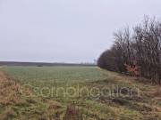 Babót - szántó eladó