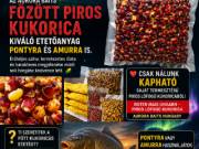 AURORA BAITS Horgász Etetőanyag Kaposvárról