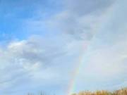 Egy lehetőség mely megváltoztatja az életed