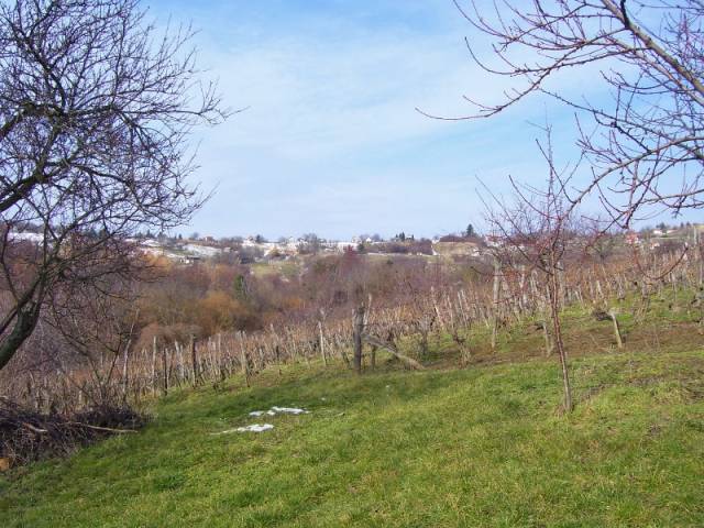 Eladó 30 nmes Üdülő, nyaraló Lesencefalu Lesencefalu Eladó ház, Lakás