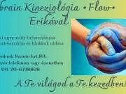 One brain kineziológia