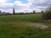 Vecsés város mellett jelenleg még mezőgazdasági terület eladó