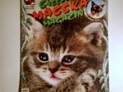 Cicc Macska Magazin 2015/3 (poszterral) 7kép+tartalom