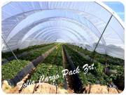 Agrofolia - Kertészeti agrofolia - 