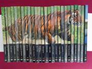 Natural Killers-Ragadozók testközelben DVD 26db