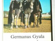Germanus Gyula Kelet varázsa / könyv Magvető Könyvkiadó 1984