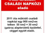 Családi napközi eladó!