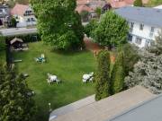 Apartmanház eladó Hajdúszoboszló