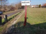 Építési terület kiváló helyen Szeged-Szőregen eladó
