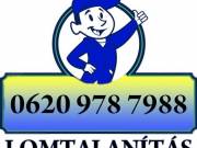 Lomtalanítás
