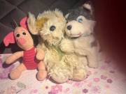 plüss állatok eladók