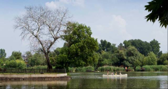 ELAD SZIGETHALMI H ZAK visual data 5