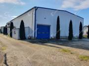 Ipari ingatlan: csarnok, hűtőház, gombaház, 40.000 m2 elkerített területen eladó Györgytarlón