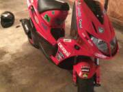 Derbi predator