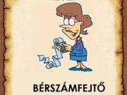 Bérszámfejtőt keresünk