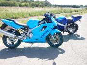 Honda CBR 600 F4 1999