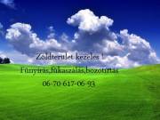 Fűnyírás,fűkaszálás,bozótirtás,zöld terület kezelés !