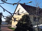Eladó gazdálkodásra alkalmas családi ház Szandaszőlősön!