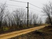 Eladó telek, Sülysáp