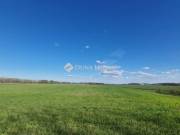 Eladó mezőgazdasági, Sülysáp
