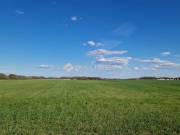 Eladó mezőgazdasági, Sülysáp