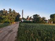Eladó mezőgazdasági, Sülysáp