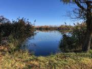 Eladó Lakóövezeti telek, Békés, 254nm