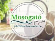 Mosogató munkalehetőség