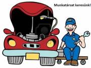 Autószerelő és autóvillamossági szerelő munkatársat keresünk! 